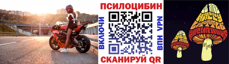 Купить закладки  Лесосибирск  Псилоцибиновые грибы мицелий 