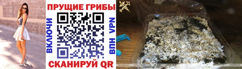 Псилоцибиновые грибы мицелий Лесосибирск